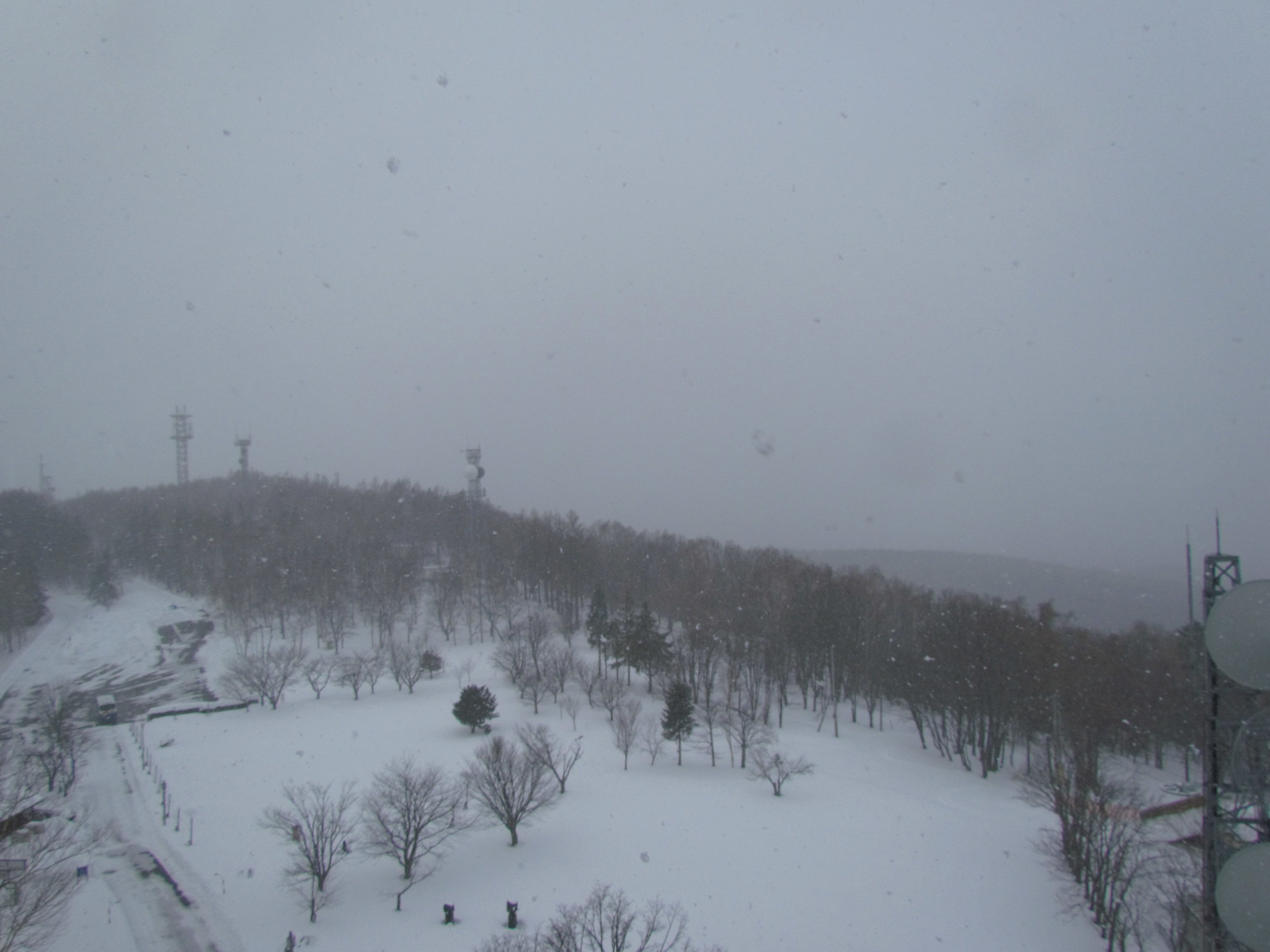 The whole sky and ground covered in white snow