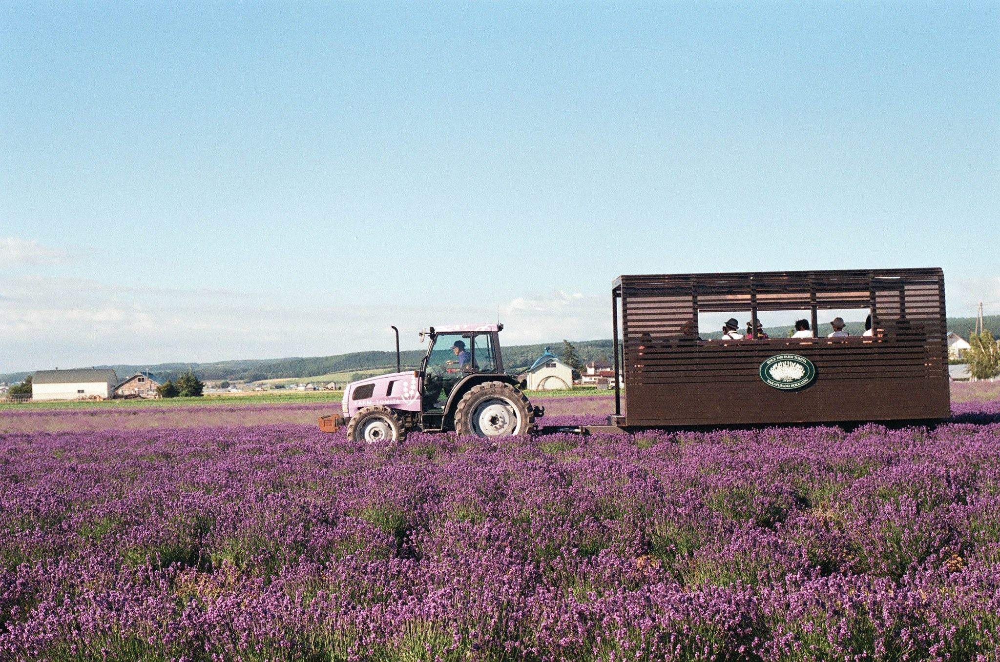 A car is dreamy purple