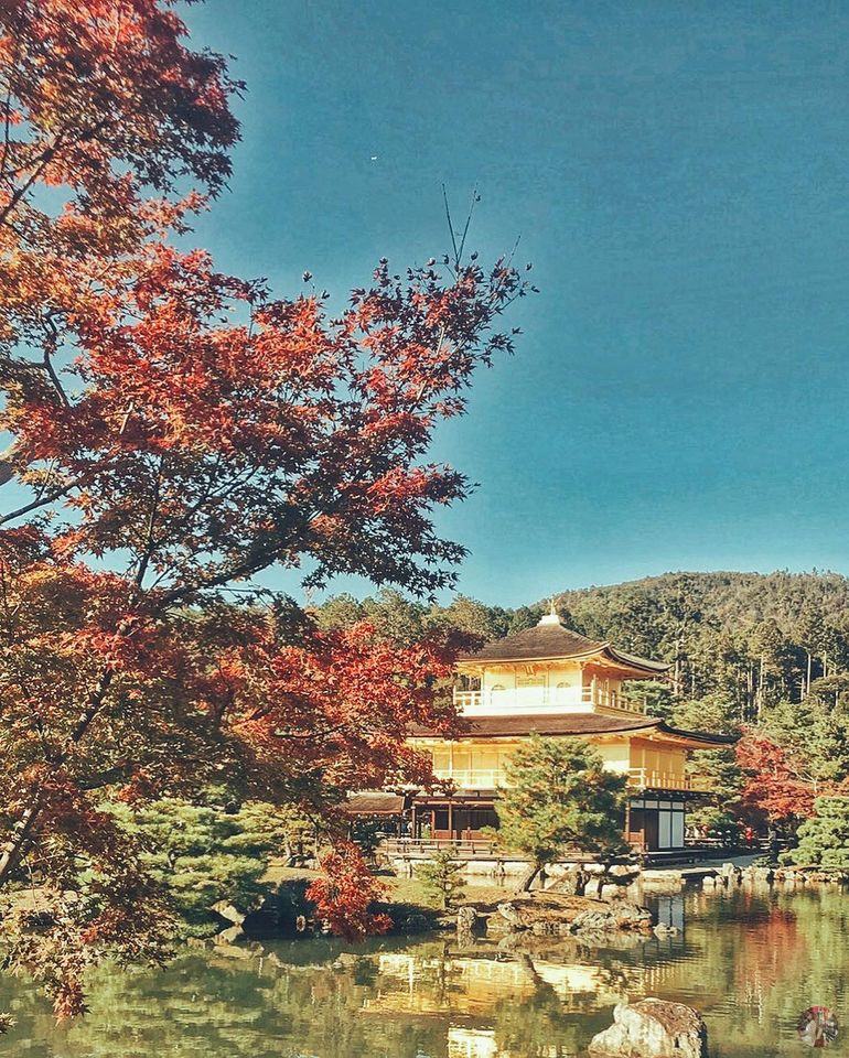 The temple was glistening brightly from the distance, emerging behind the November red fall foliage