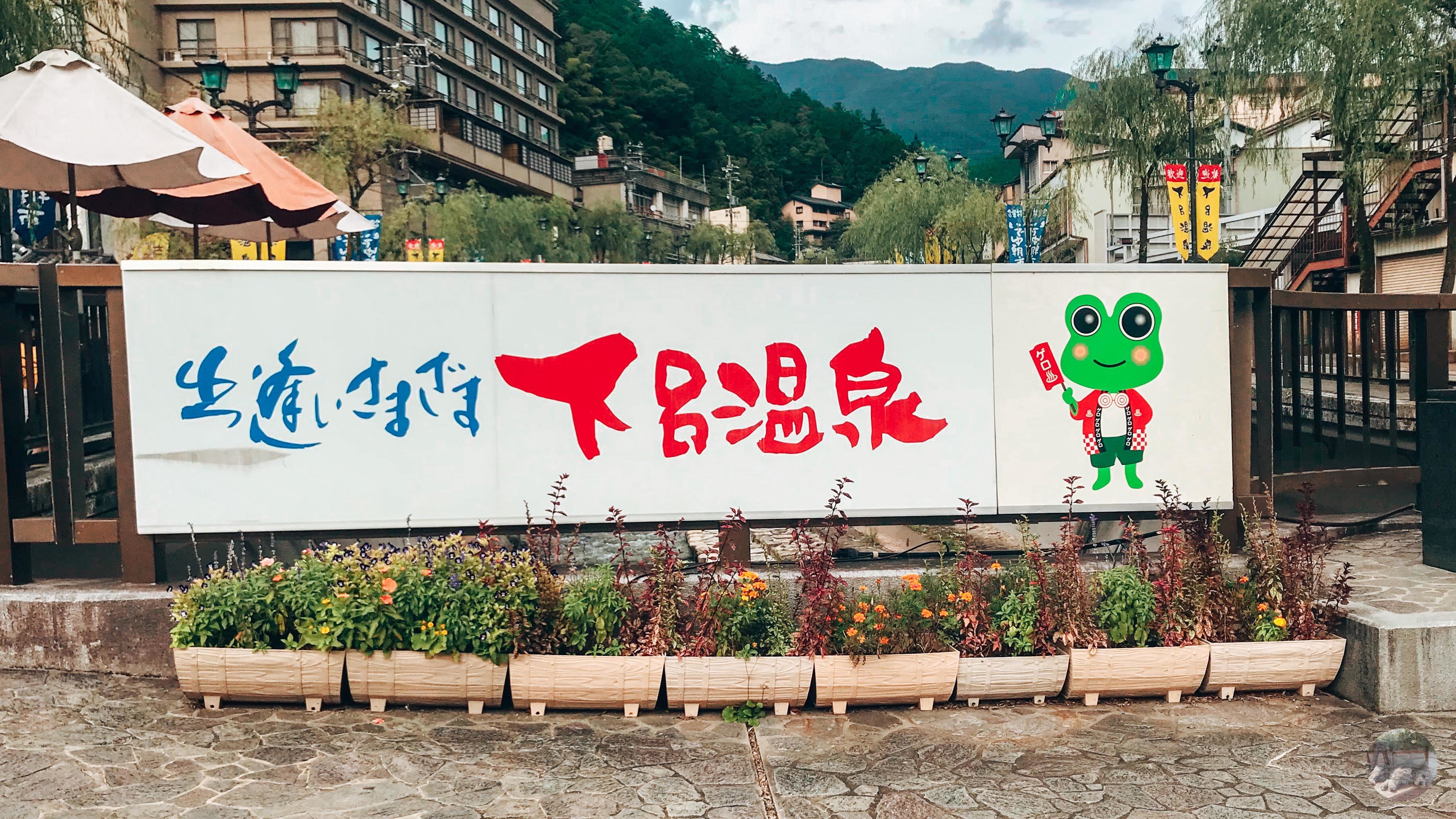 Chú ếch xanh chào đón du khách