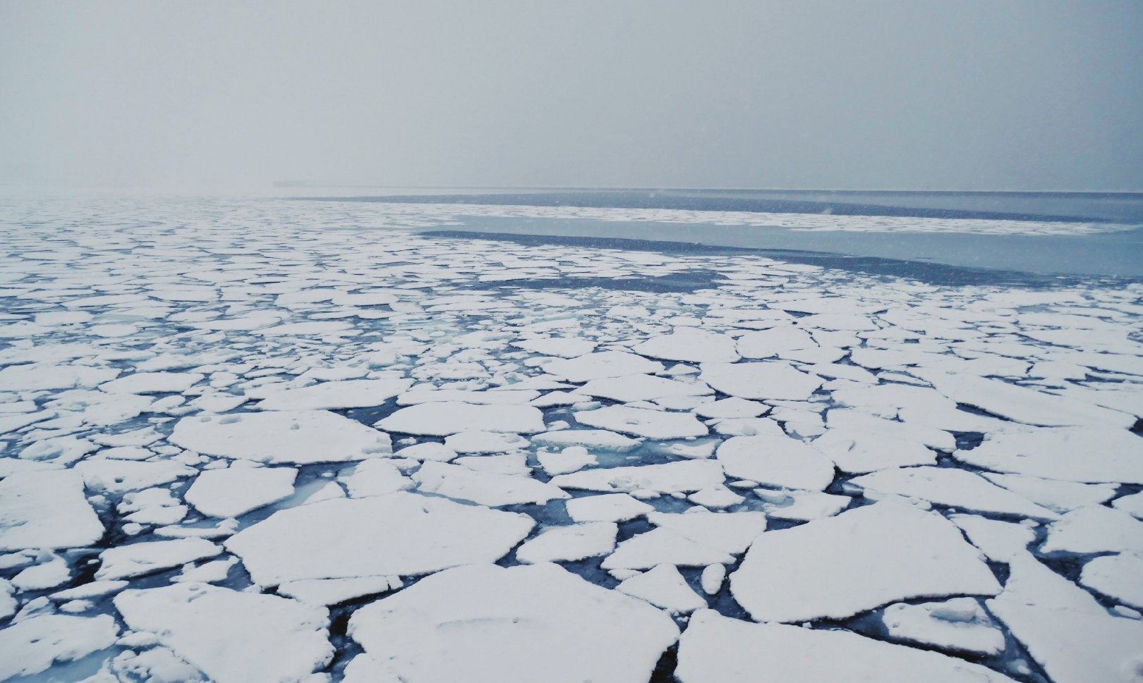 Floating icebergs