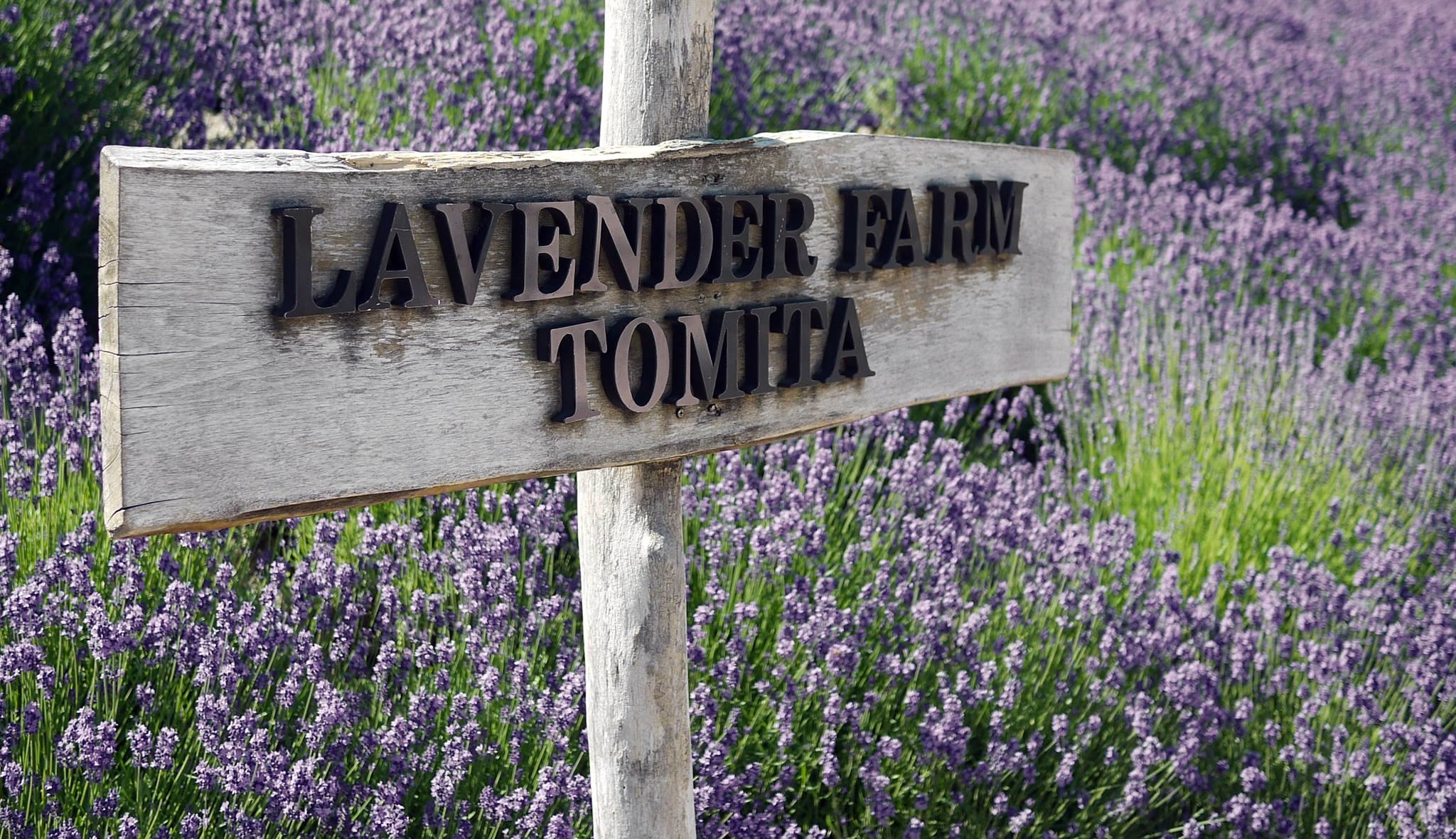 A hello from Tomita Lavender Flower Field ^^