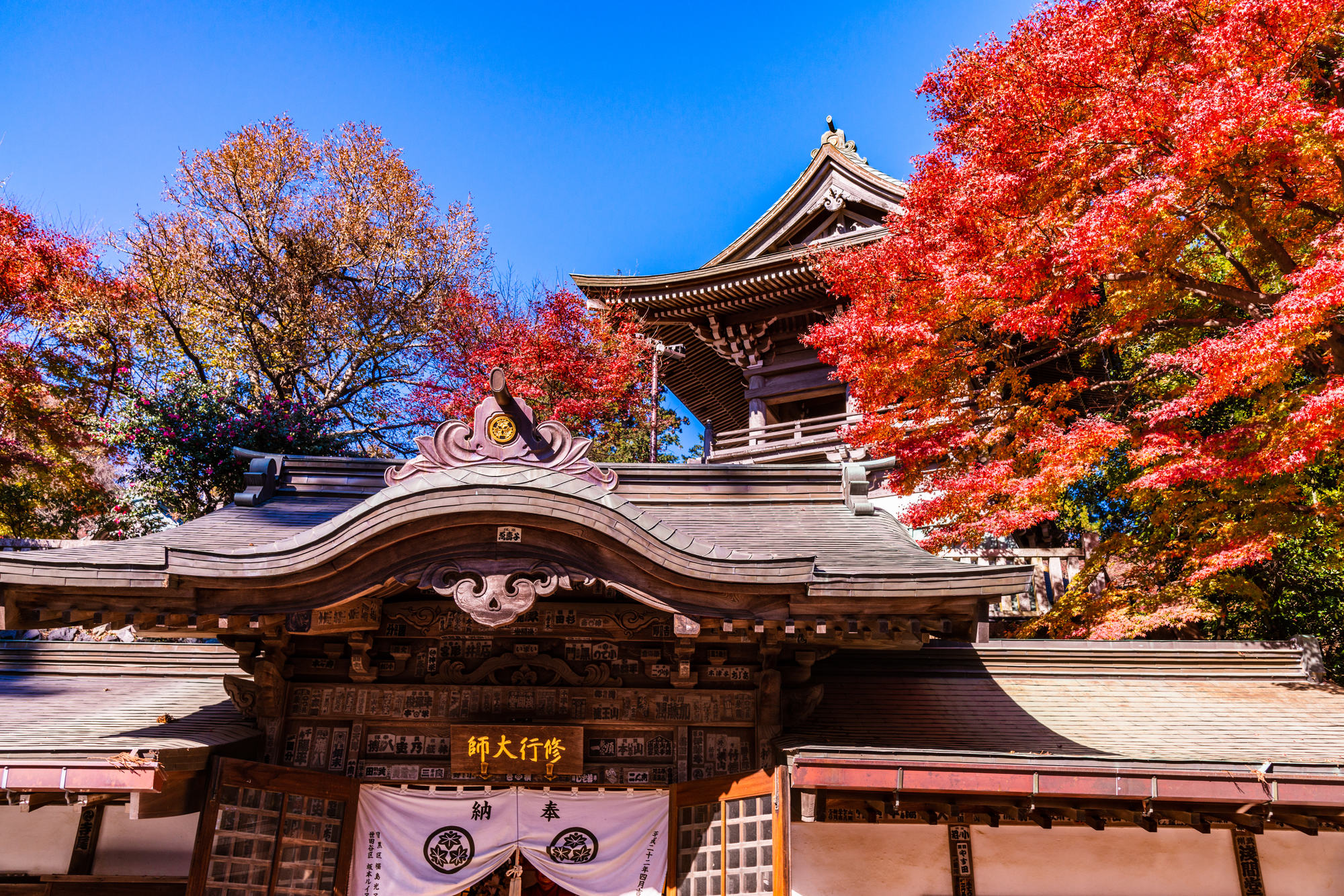 Yakuoin during the red leaf season