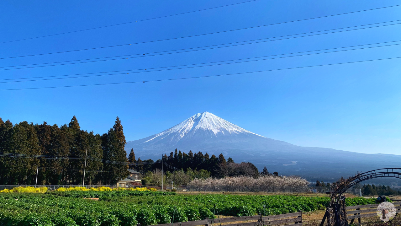 A day trip around Mount Fuji