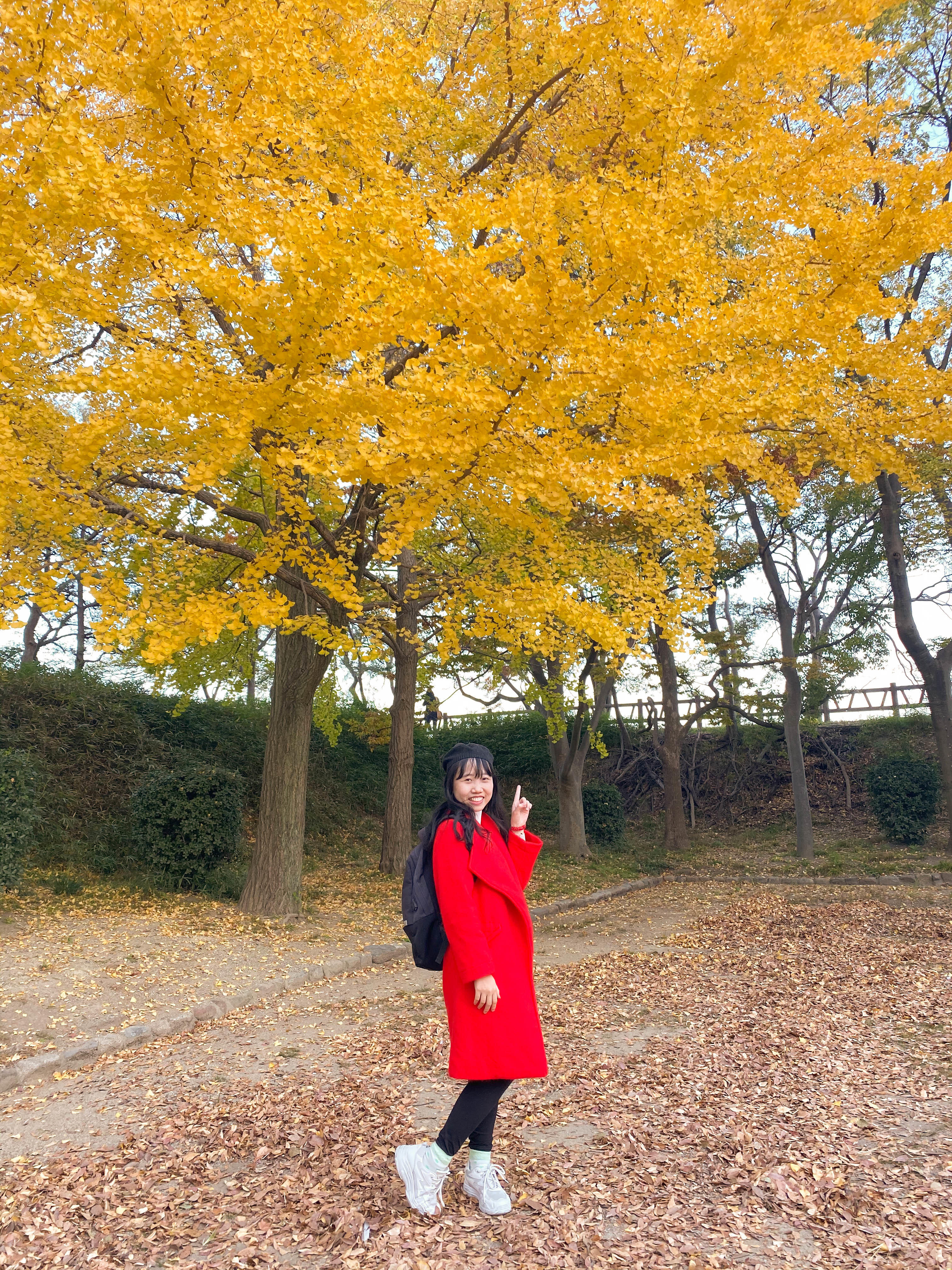Khung cảnh mùa thu trong công viên Thành Osaka
