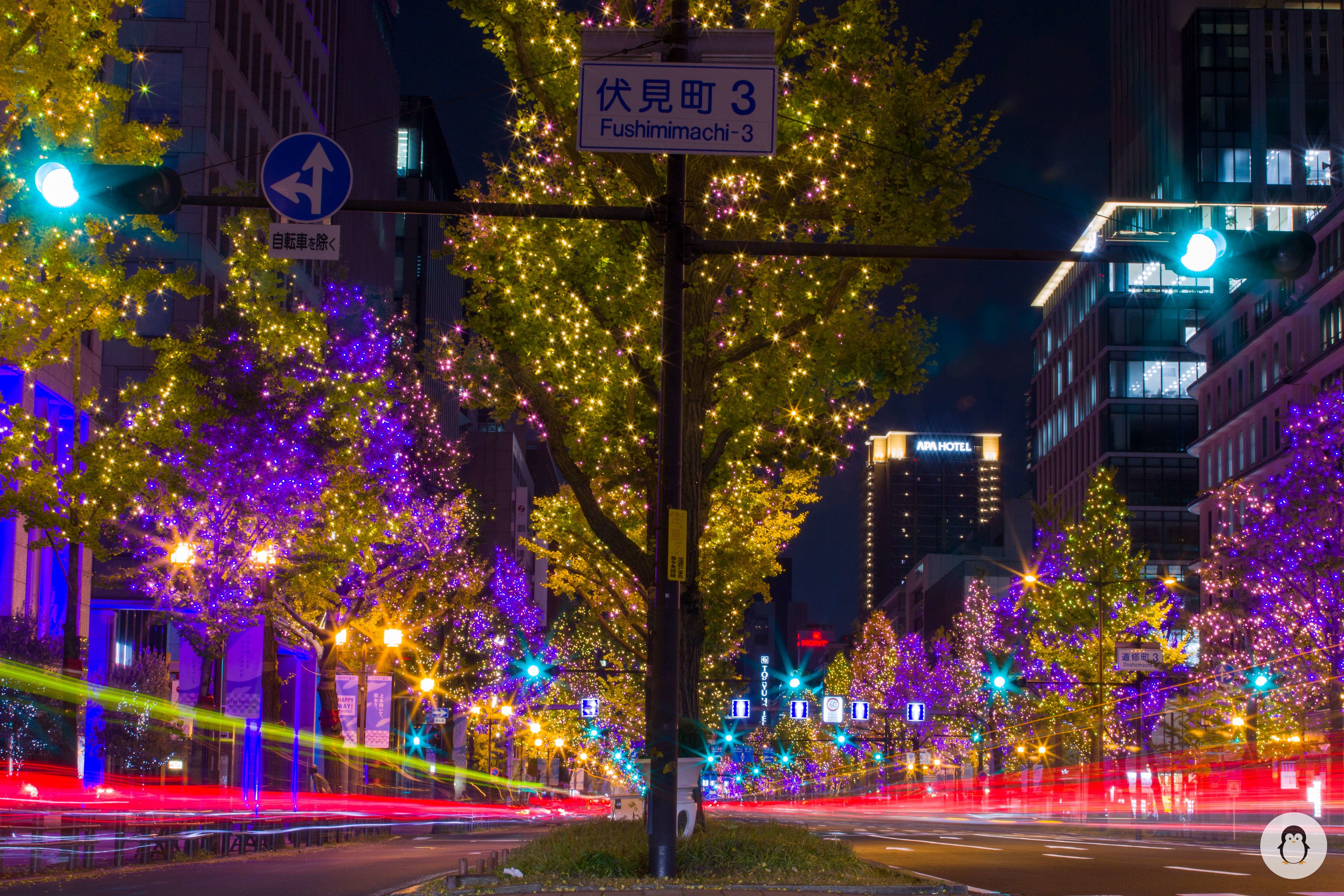 Festival of the Lights through the lens of a Nikon camera
