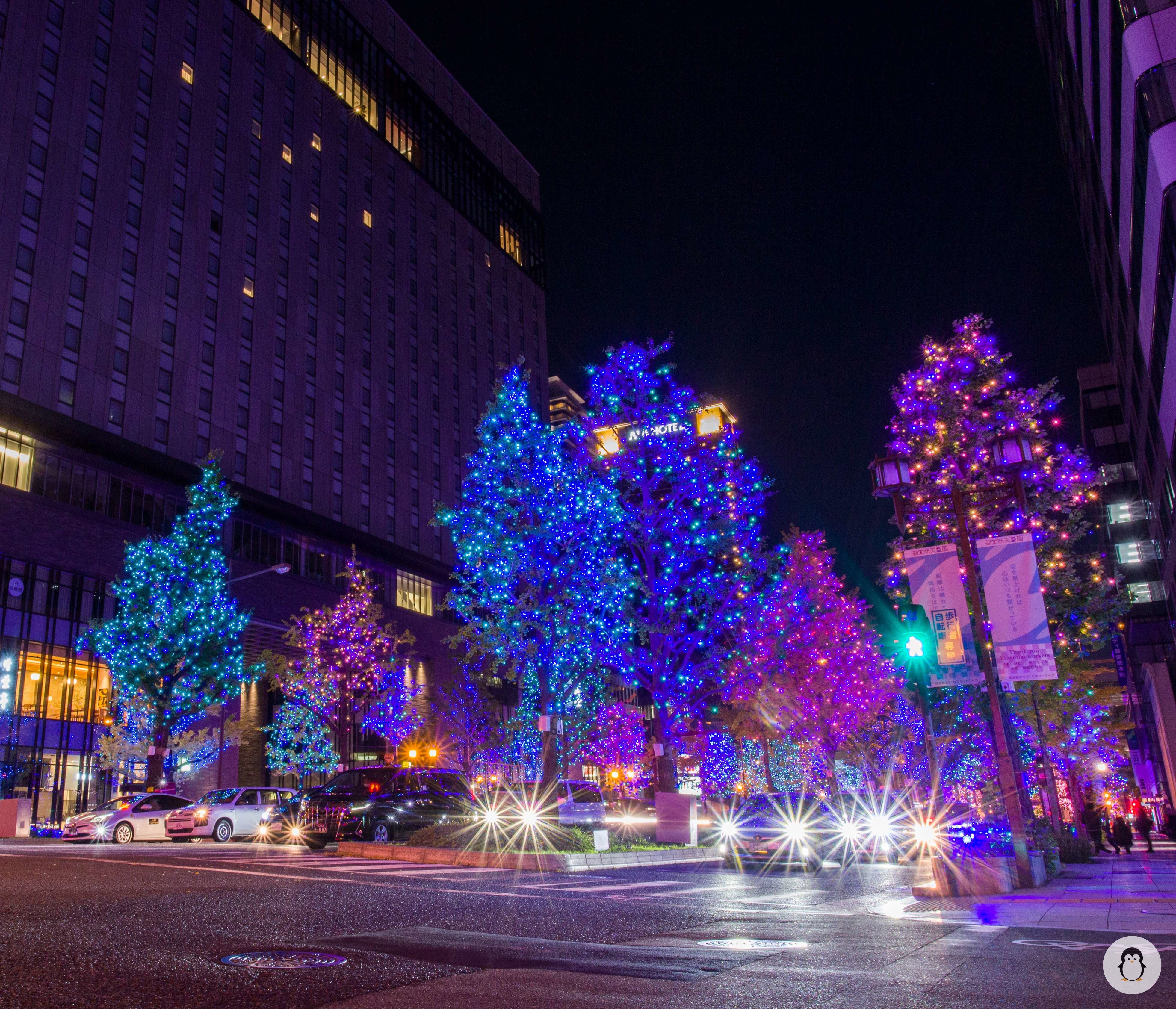 Midosuji Illumination - the dazzling light on cold winter days