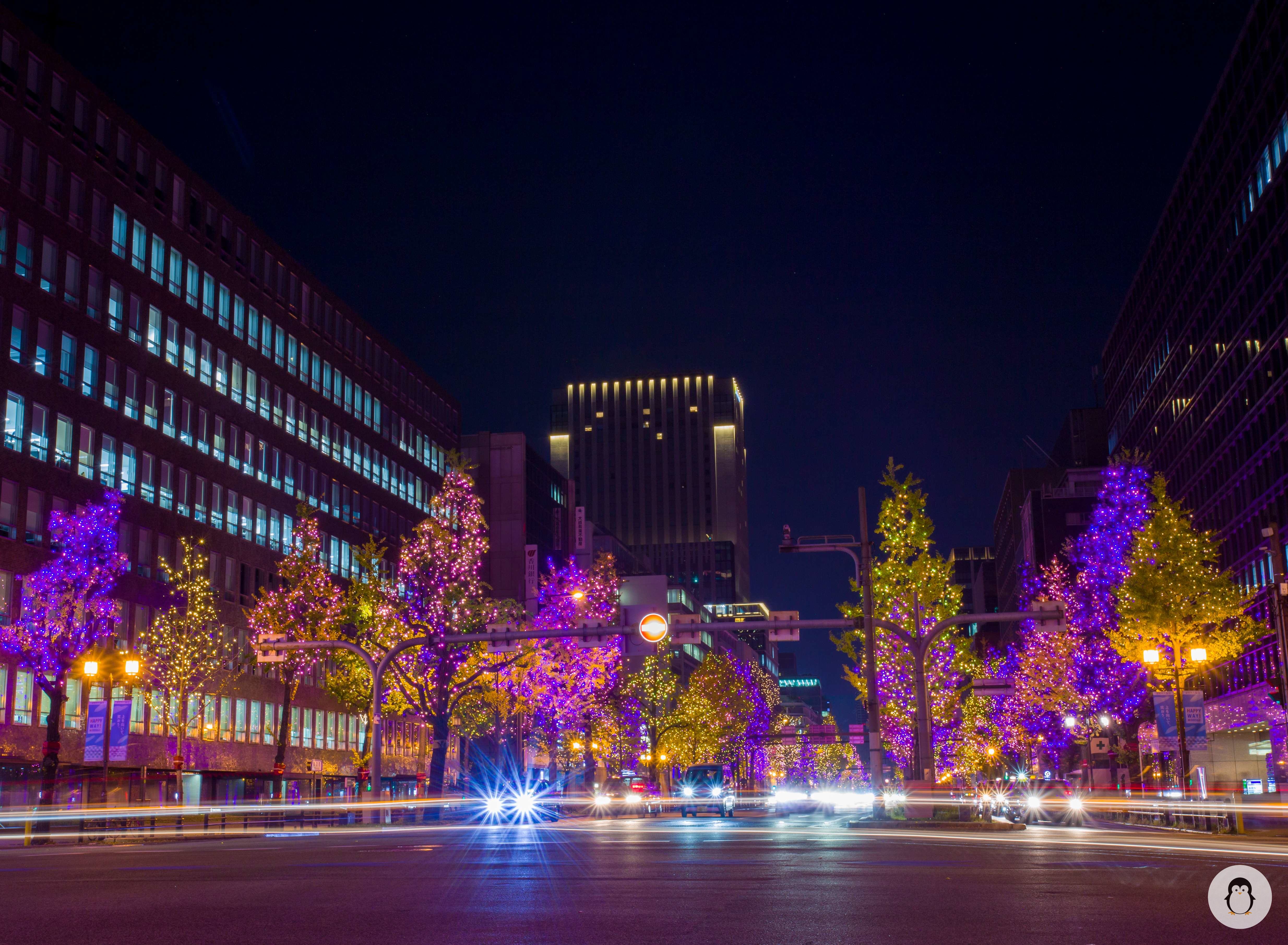 Midosuji Illumination - the dazzling light on cold winter days