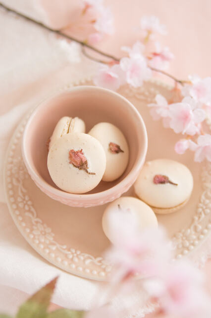 Top 5 các món ăn làm từ hoa anh đào bạn nhất định phải thử trong đời