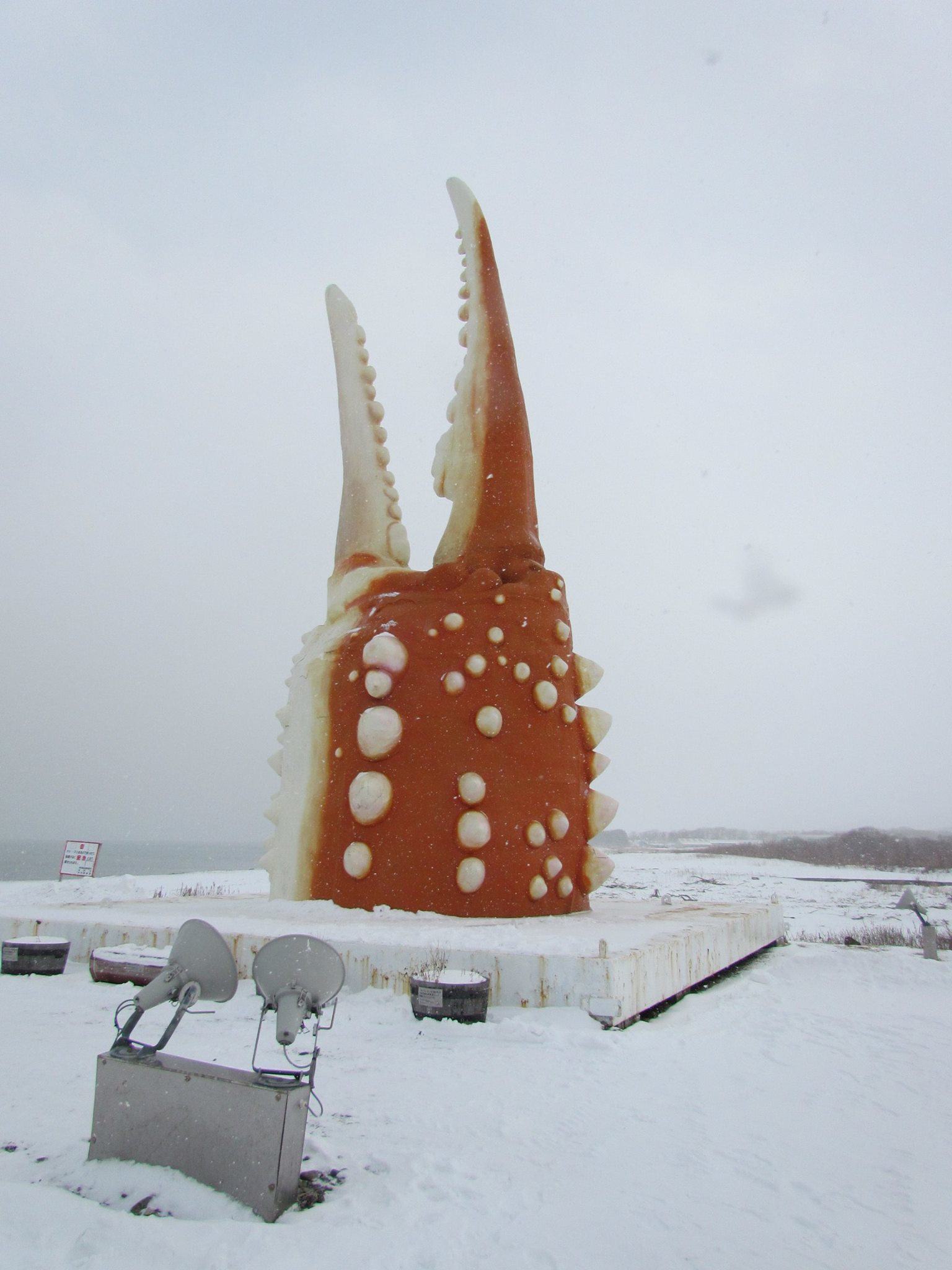 The lovely super giant crab claw under the snowy weather