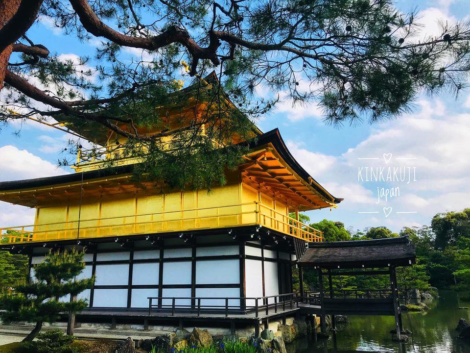 Kinkakuji in the summer