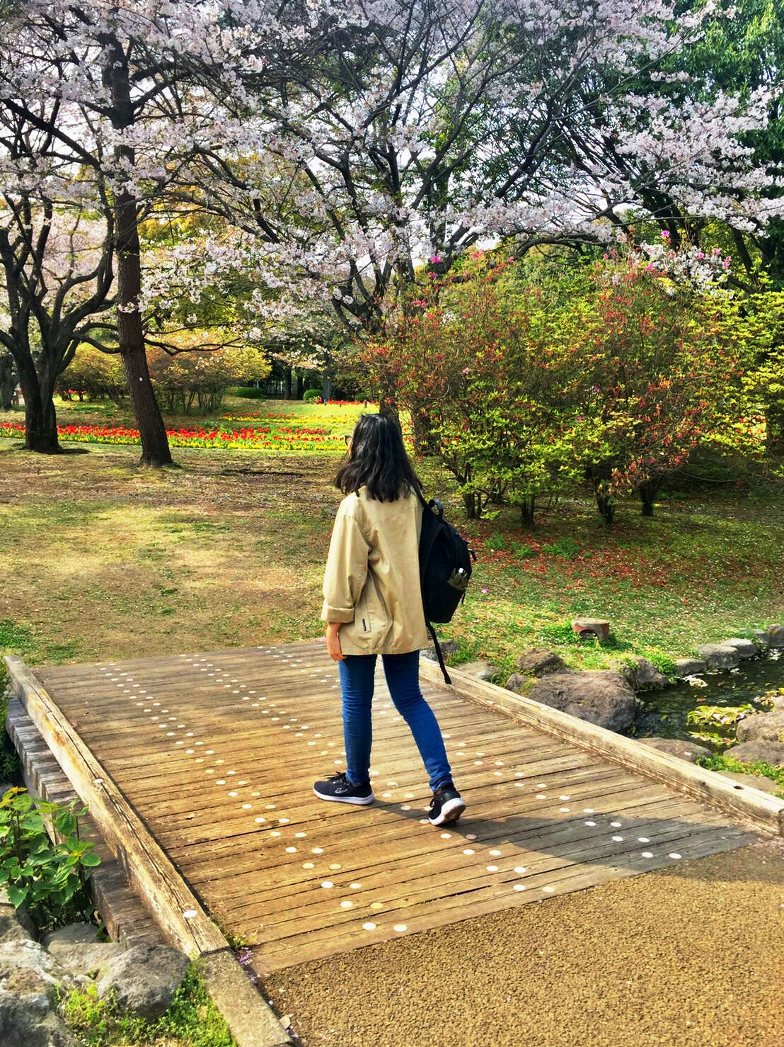 Exploring the park