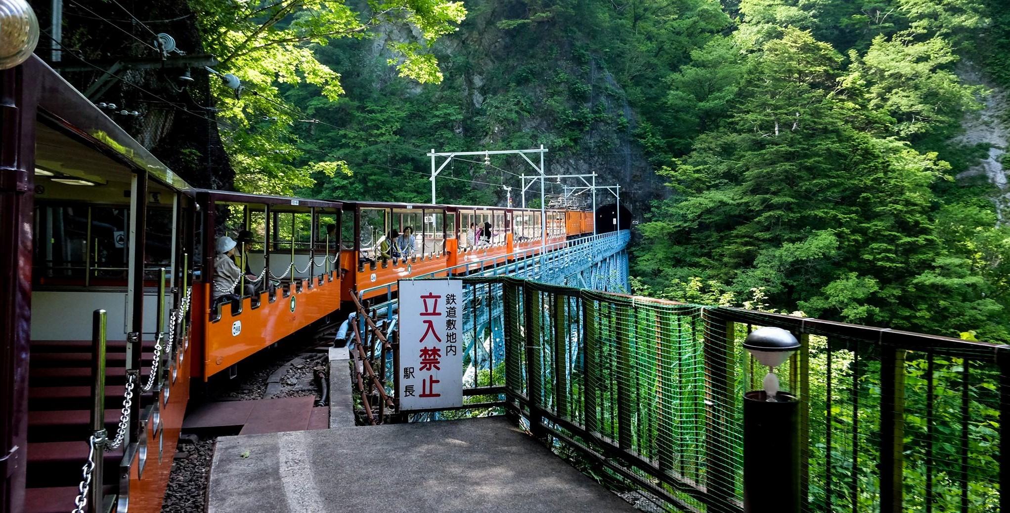 The open train allows visitors to make contact with nature