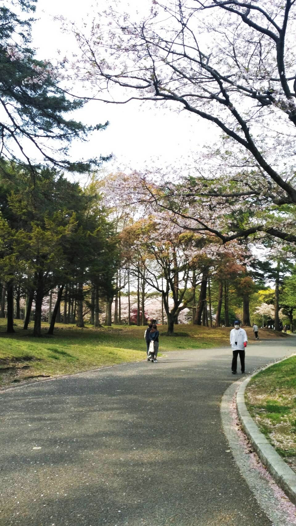 Strolling down the wide, long roads in the park