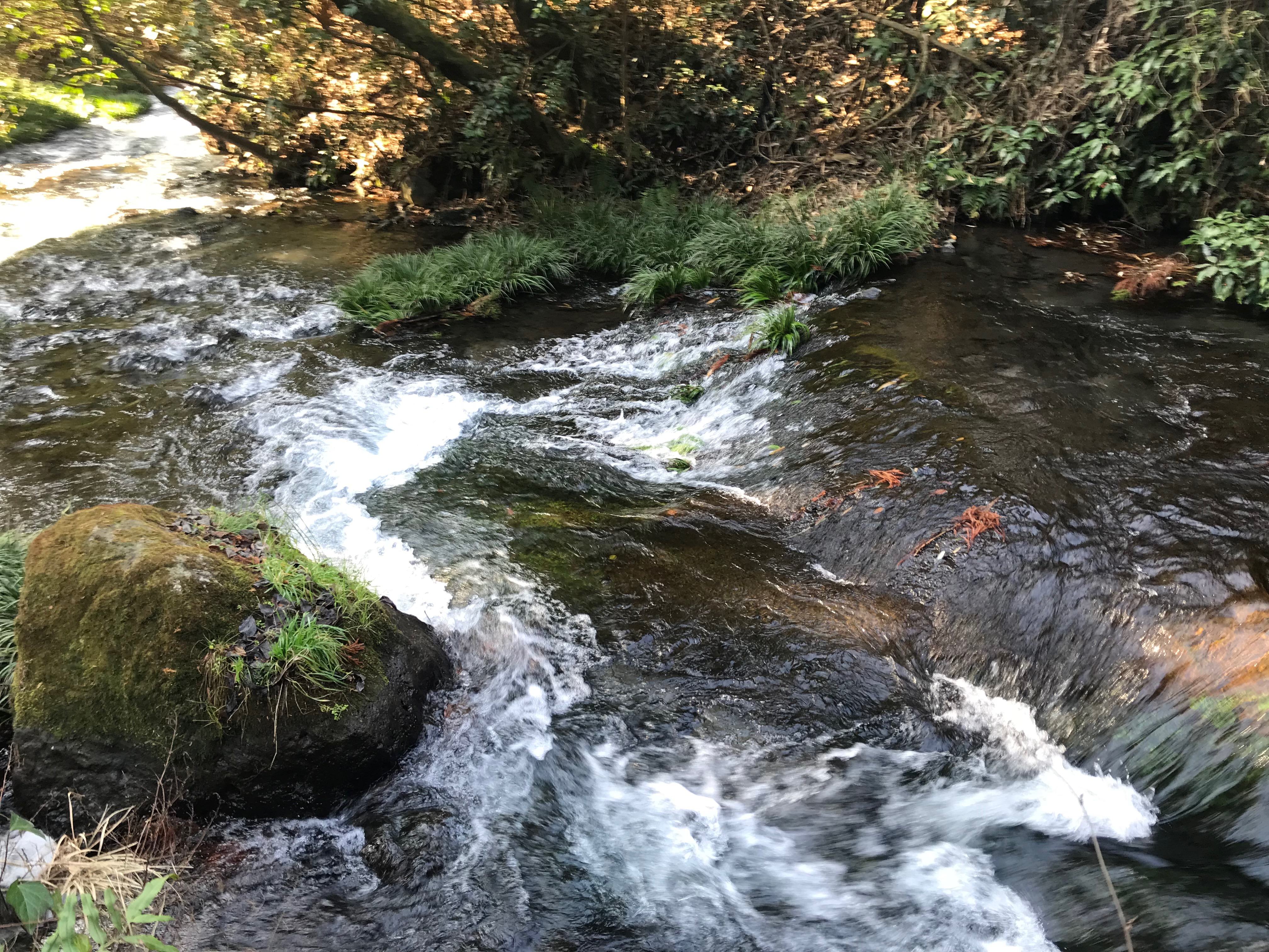 Shirakawa ở hạ nguồn