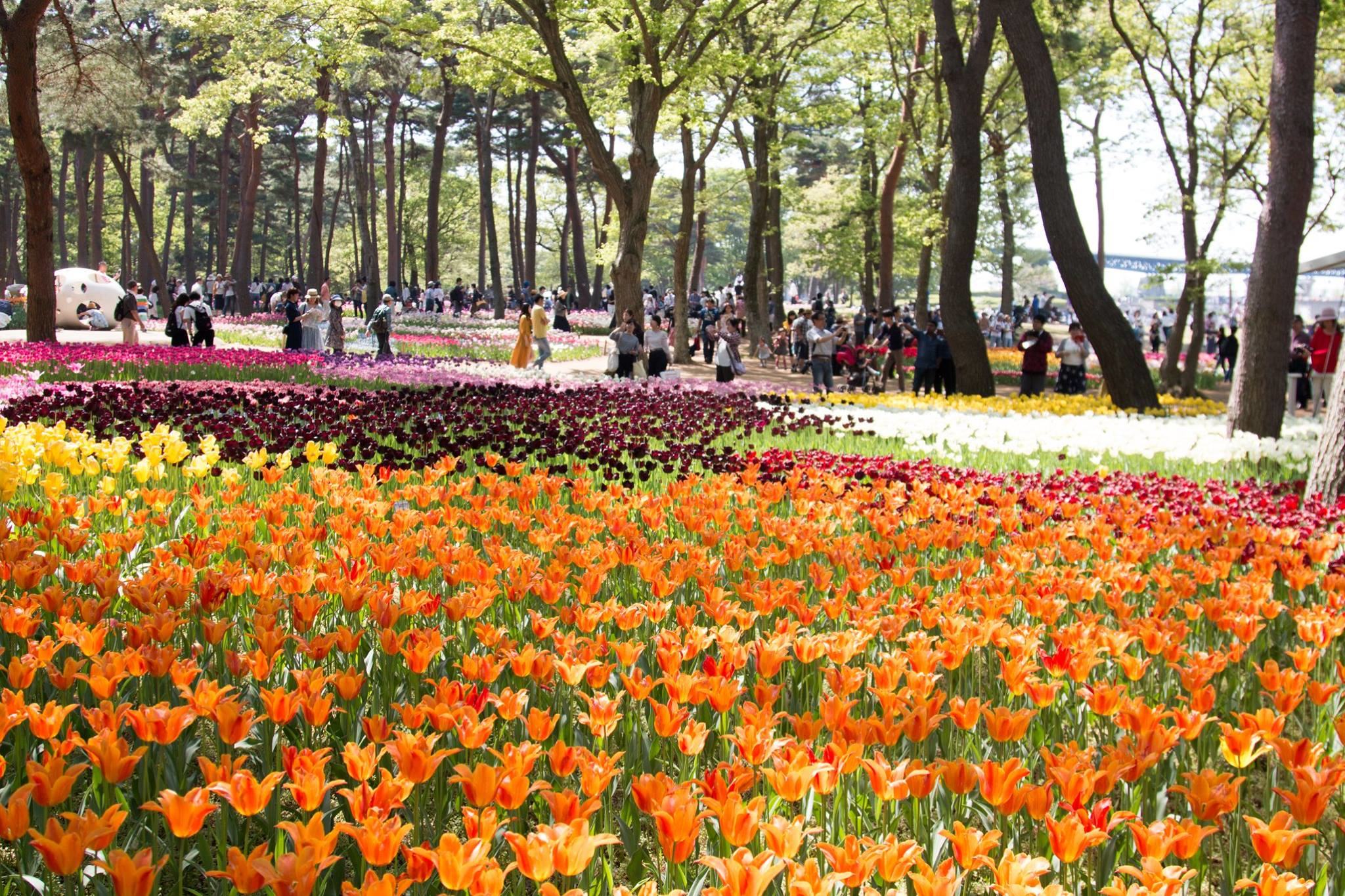 The floral woven carpets ^^