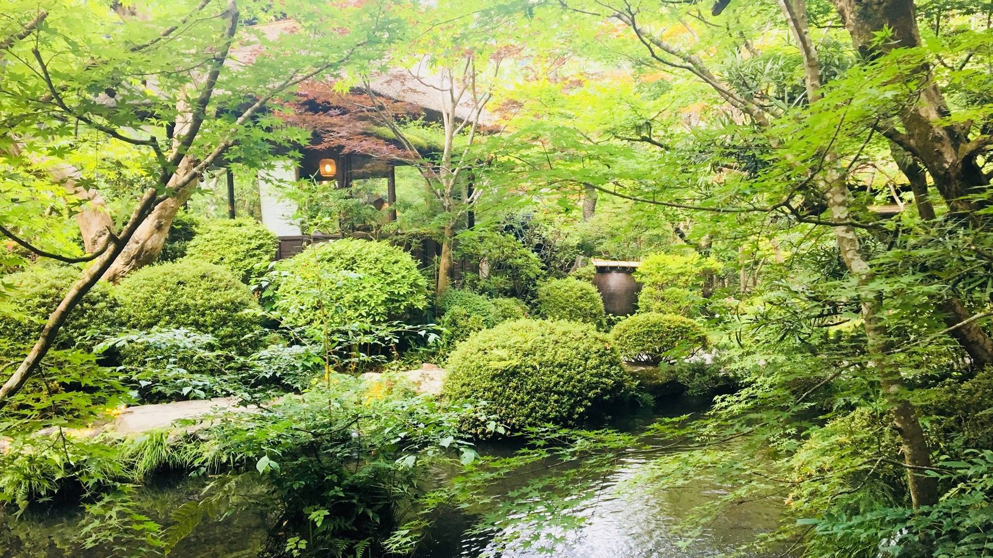 The Japanese-style garden at the restaurant