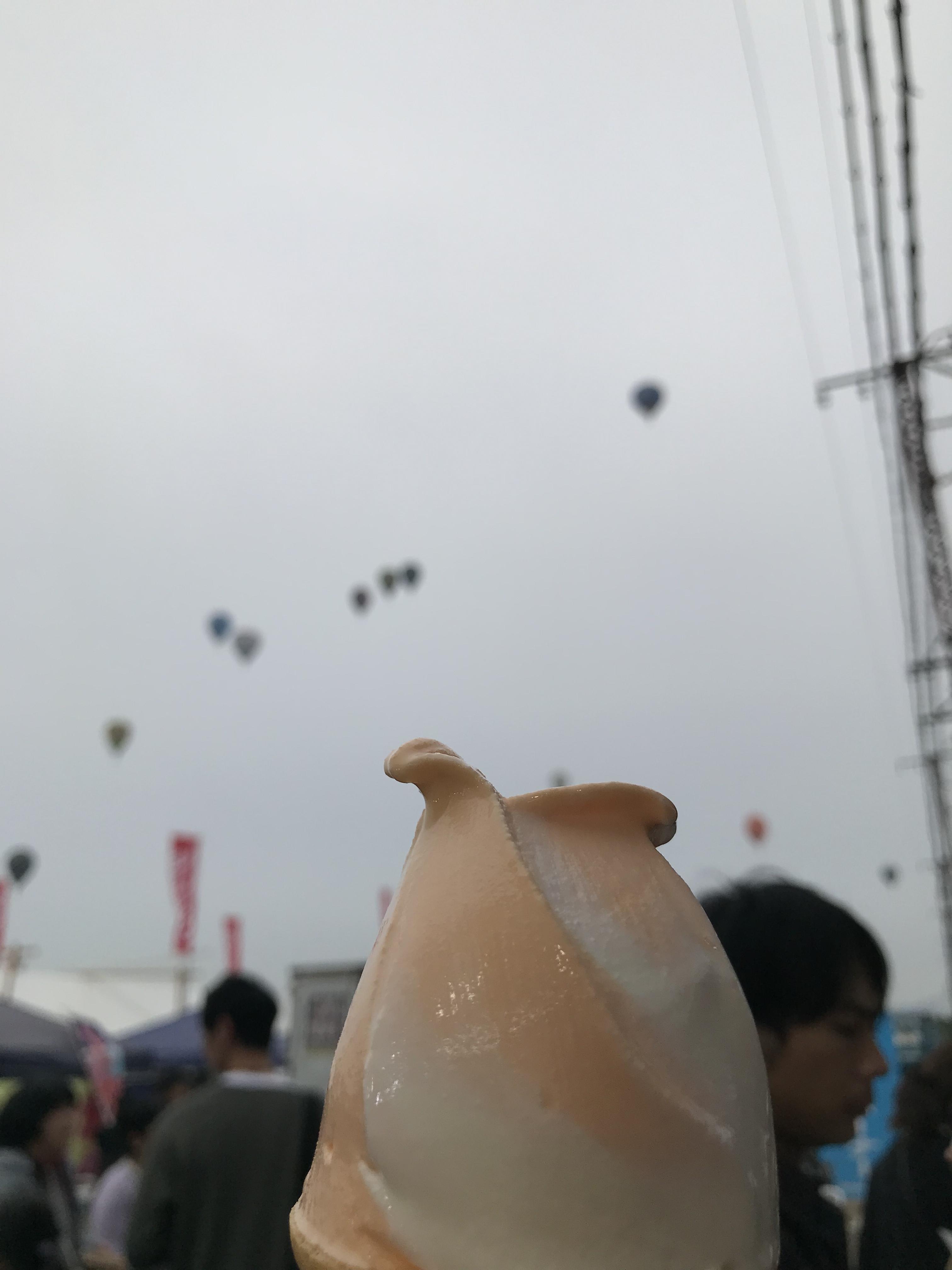 Hot air balloon picture taken from two different views