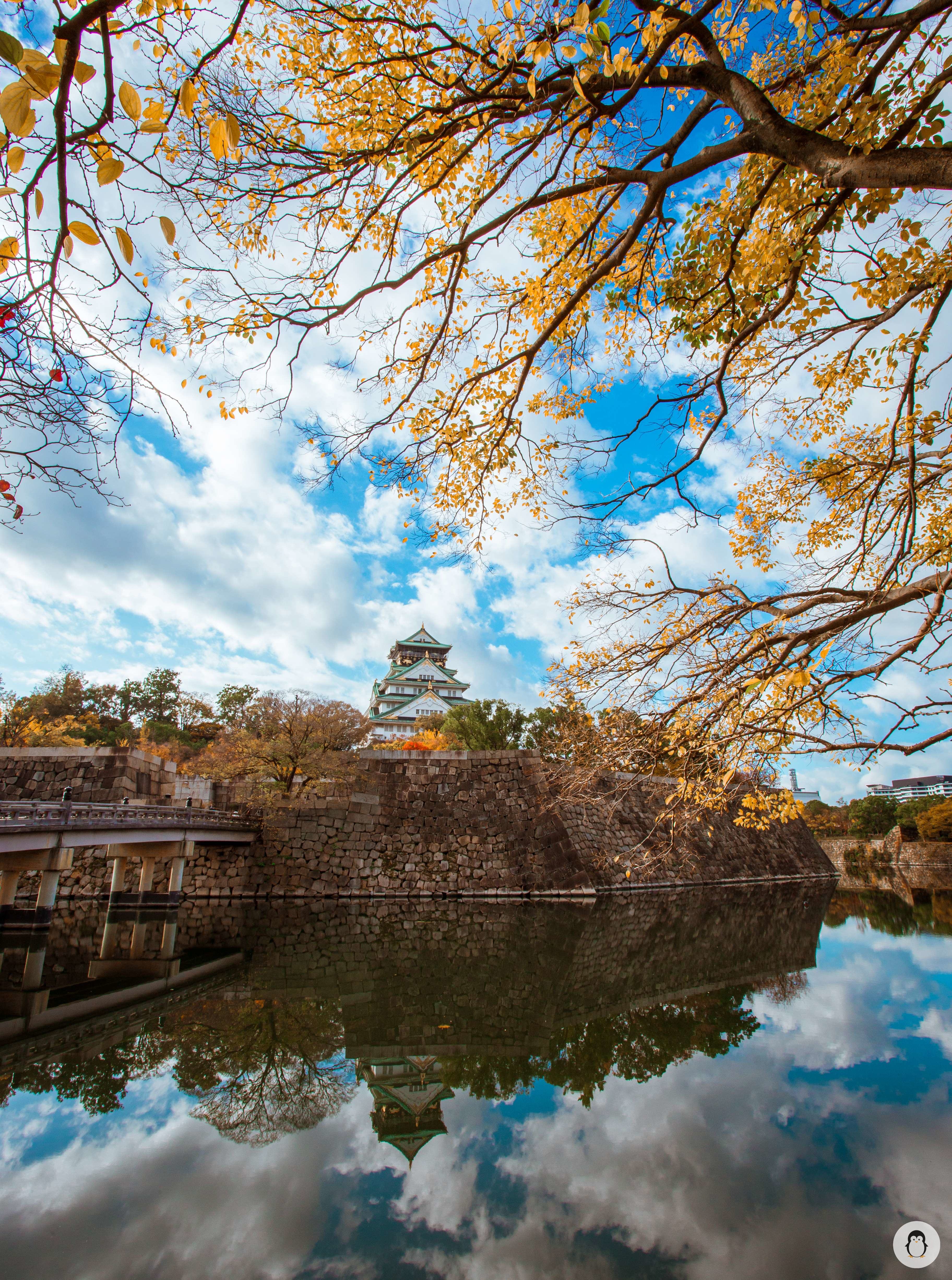 Osaka Castle through a Nikon camera with the help of a friend