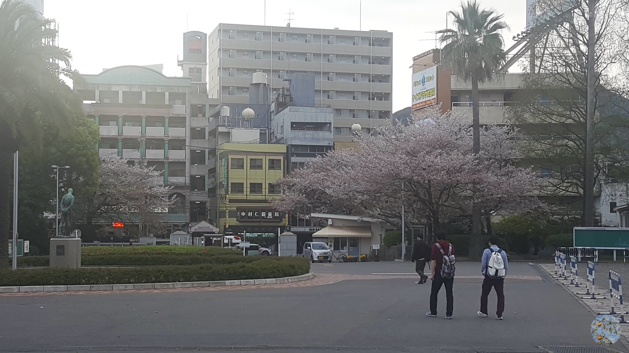 The view toward the gate from the campus