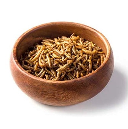 Dried Mealworms Bulk Oem Private Label Pet Food For Small Pet Feeds Supplier 