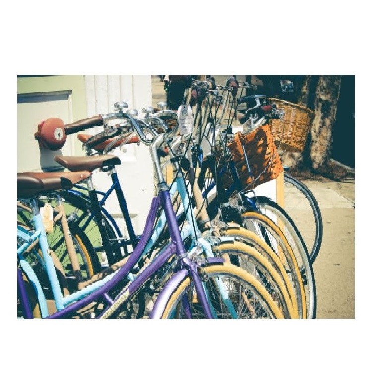 Japanese High Quality Recognized Best Road Bike Shop For Children 