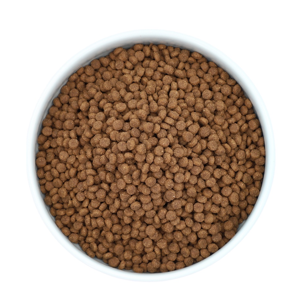 ODM/OEM pet food bulk,dog dry food wholesale