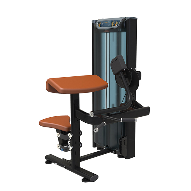 Shandong Lanbo China Wholesale Gym Equipment Fitness Equipment Manufacturers Biceps Curl Exercise Equipment 