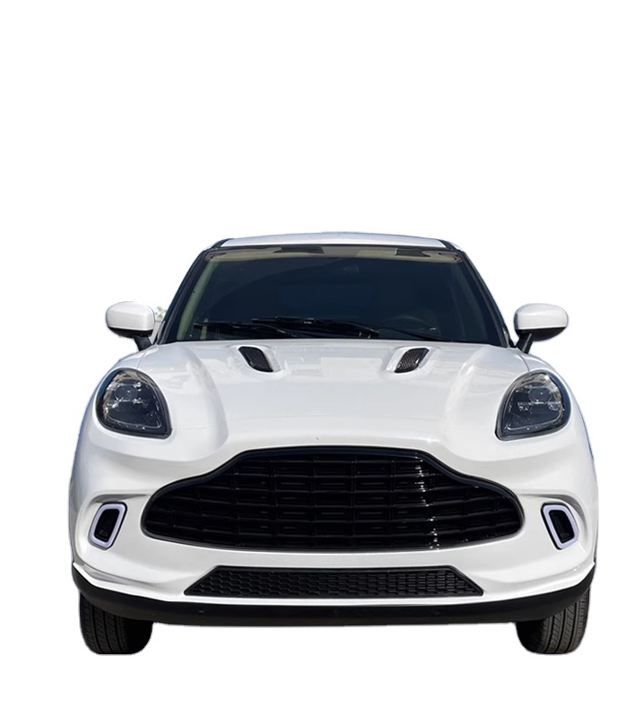 China's cheapest mini cute pure electric new energy adult four-seater car, Martin style Low speed model, new special desi