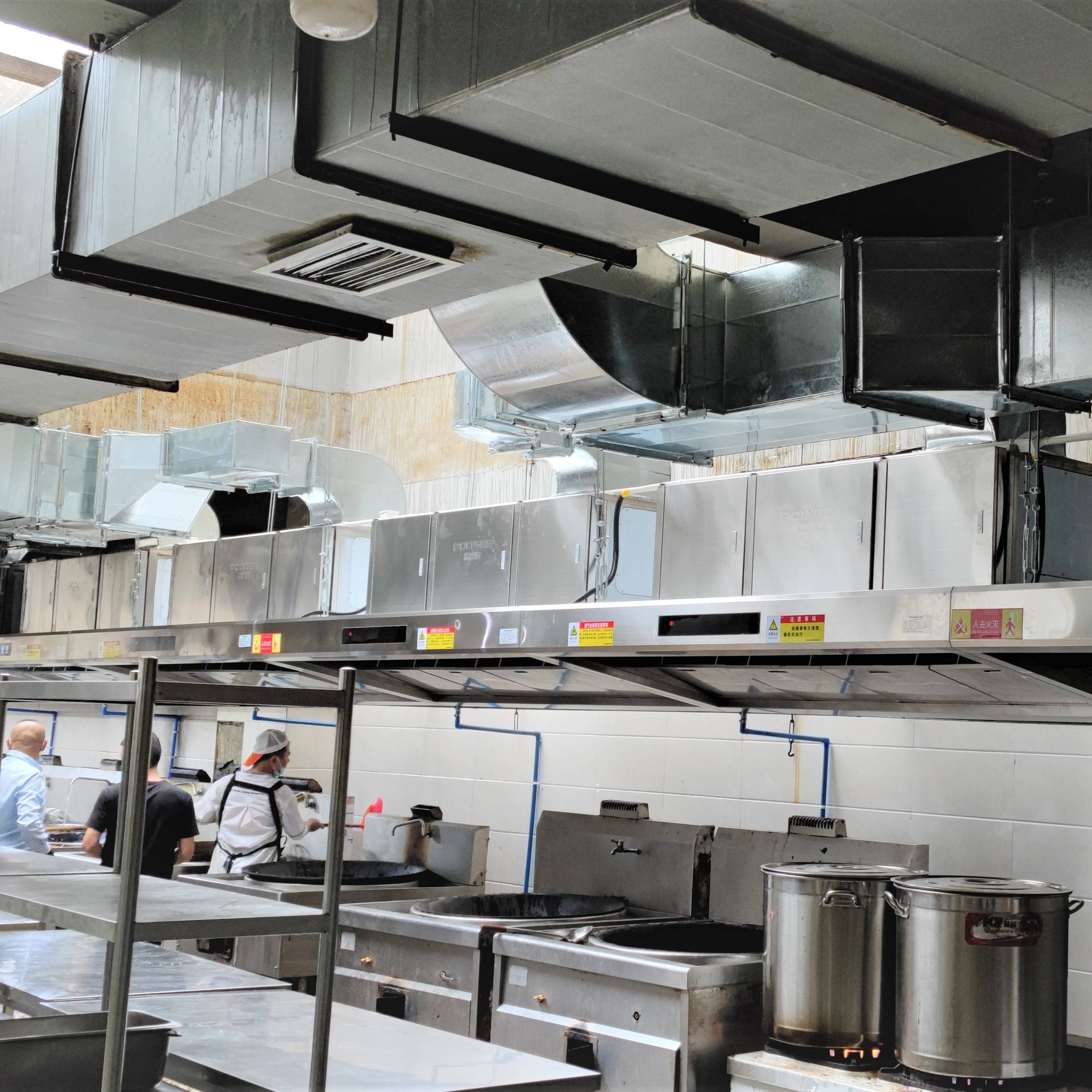 Polygee Factory Outlet Quality Assurance Multi-effect Commercial Oil Fume Purifier Range Hood