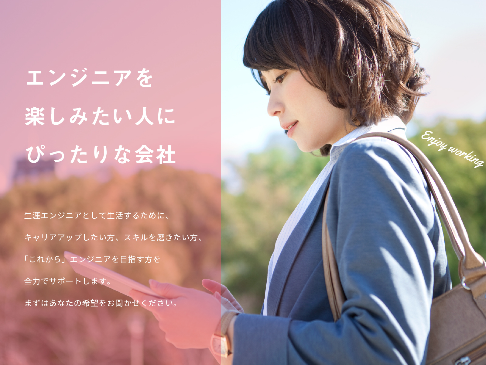 メアリーシステム採用サイト