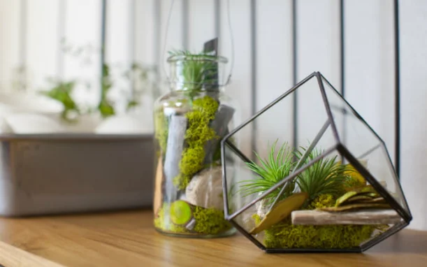 プロダクトデザイン