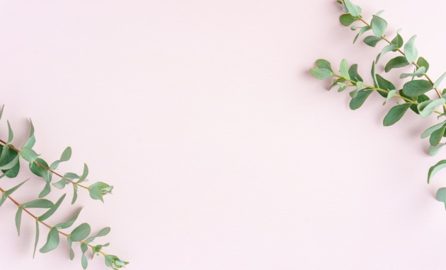 ピンクの背景と葉