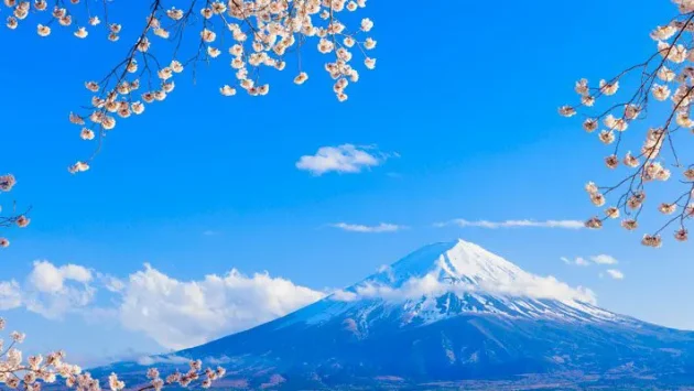 山が使われているロゴ