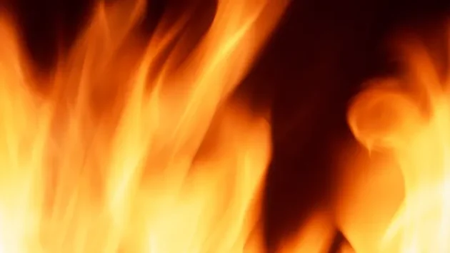 炎を取り入れたロゴ