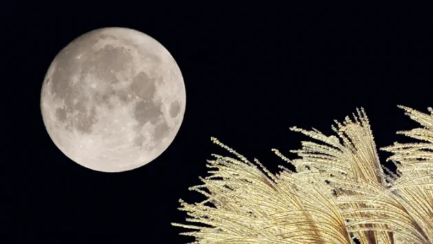 月モチーフを活かしたロゴ