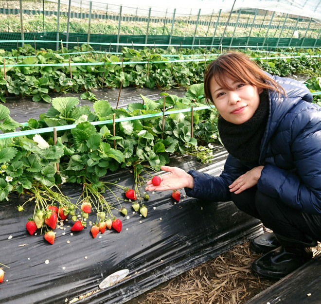 伊藤愛さん 実家のイチゴ畑にて