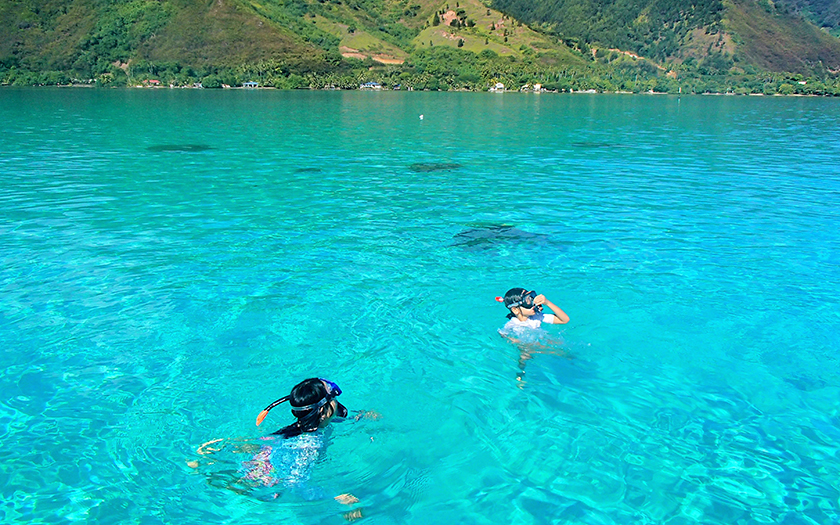 9500kmかなたで、日本の仕事を手がけるフリーランサー｜タヒチでの永住を決めて