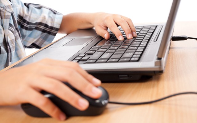 家で楽ちん在宅ワーク 本当にパソコンだけで稼げるのか The Lancer ザ ランサー