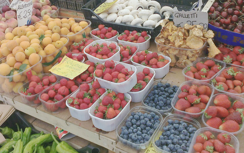 電撃的な恋に落ち、イタリア人男性と結婚！ 家族の時間を大切にするため選んだフリーライターの道