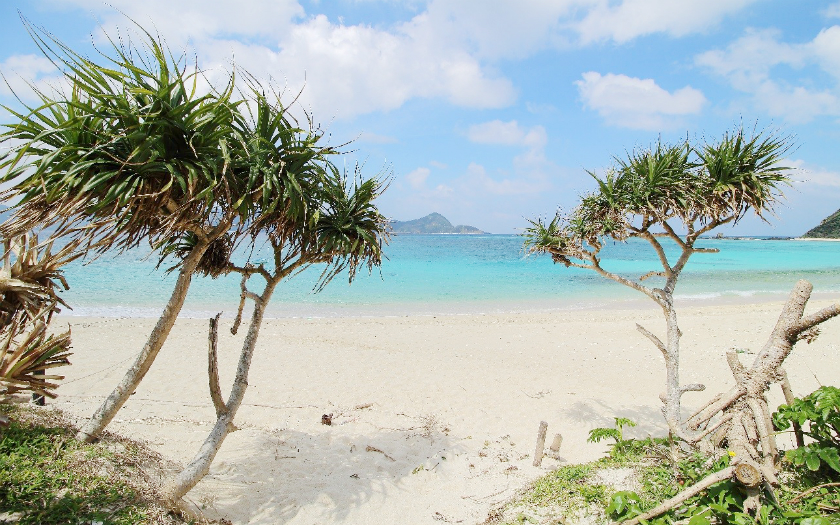 『旅』の在り方は”クラウドソーシングの登場”で変わる！ 南国を巡るフリーランスがその魅力を説明！