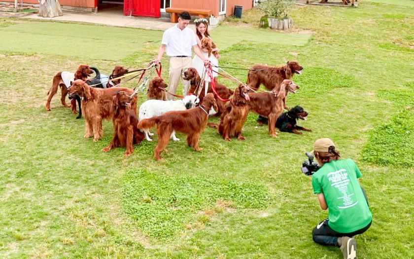 動画制作は楽しい。企業に寄り添う元テレビディレクターの手腕とは？｜あいるらんどカメラマン