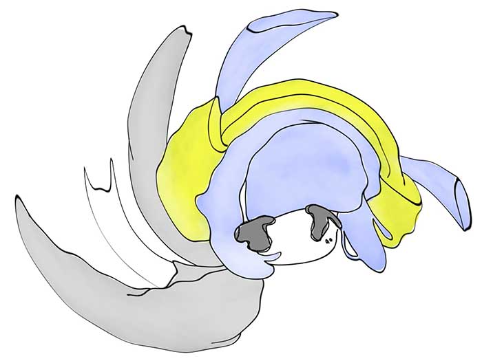 前髪ぱっつん少年