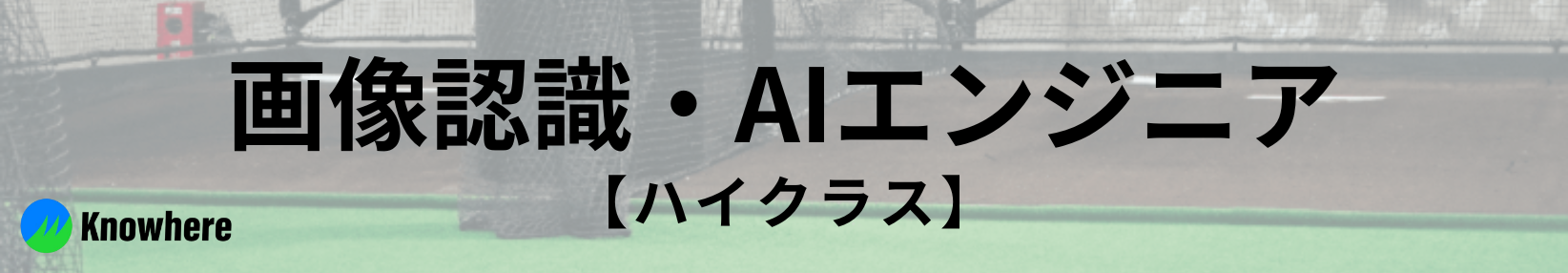 画像認識・AIエンジニア（ハイクラス）,_,b
