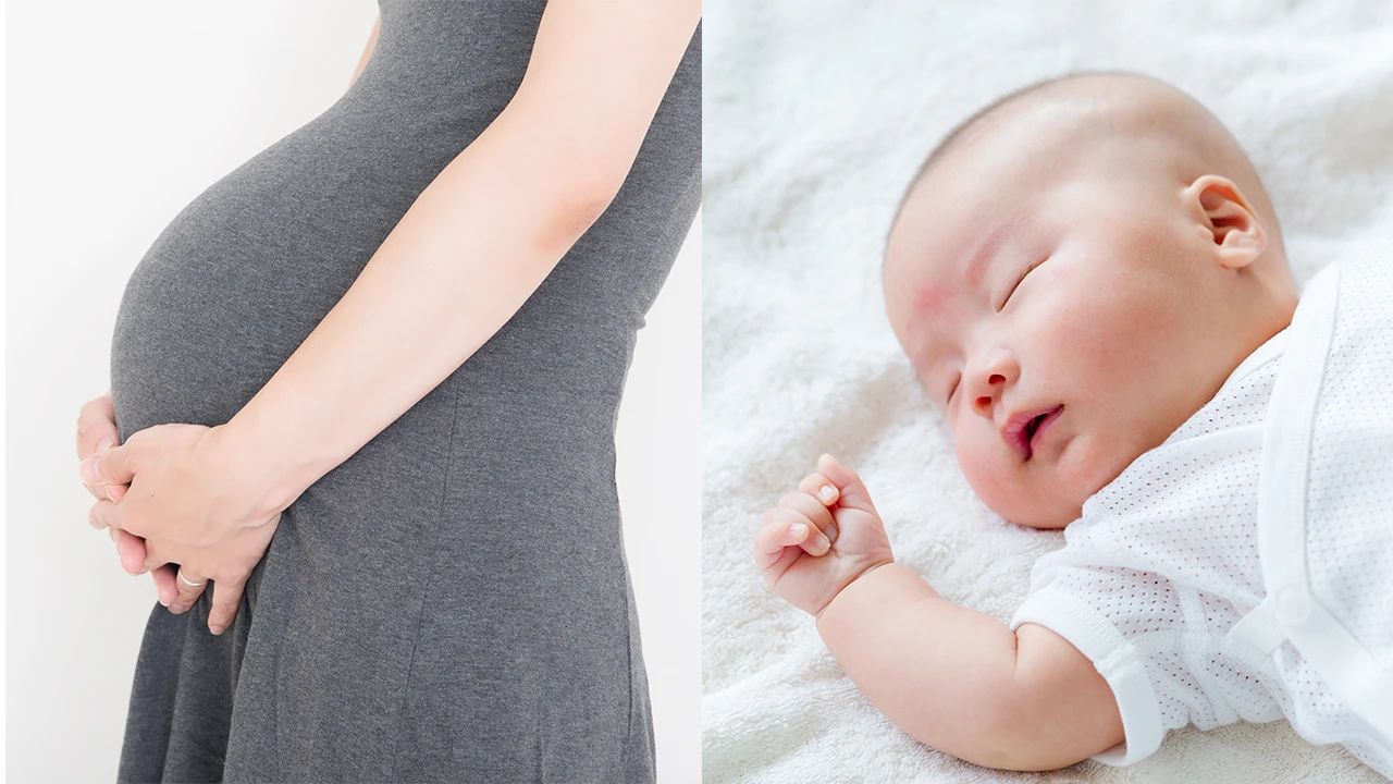 種の保存という本能から感じる丸みの優しさ