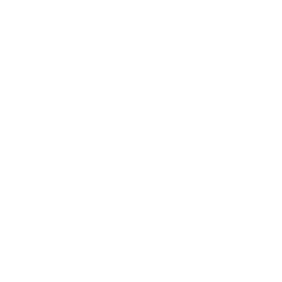 page icon