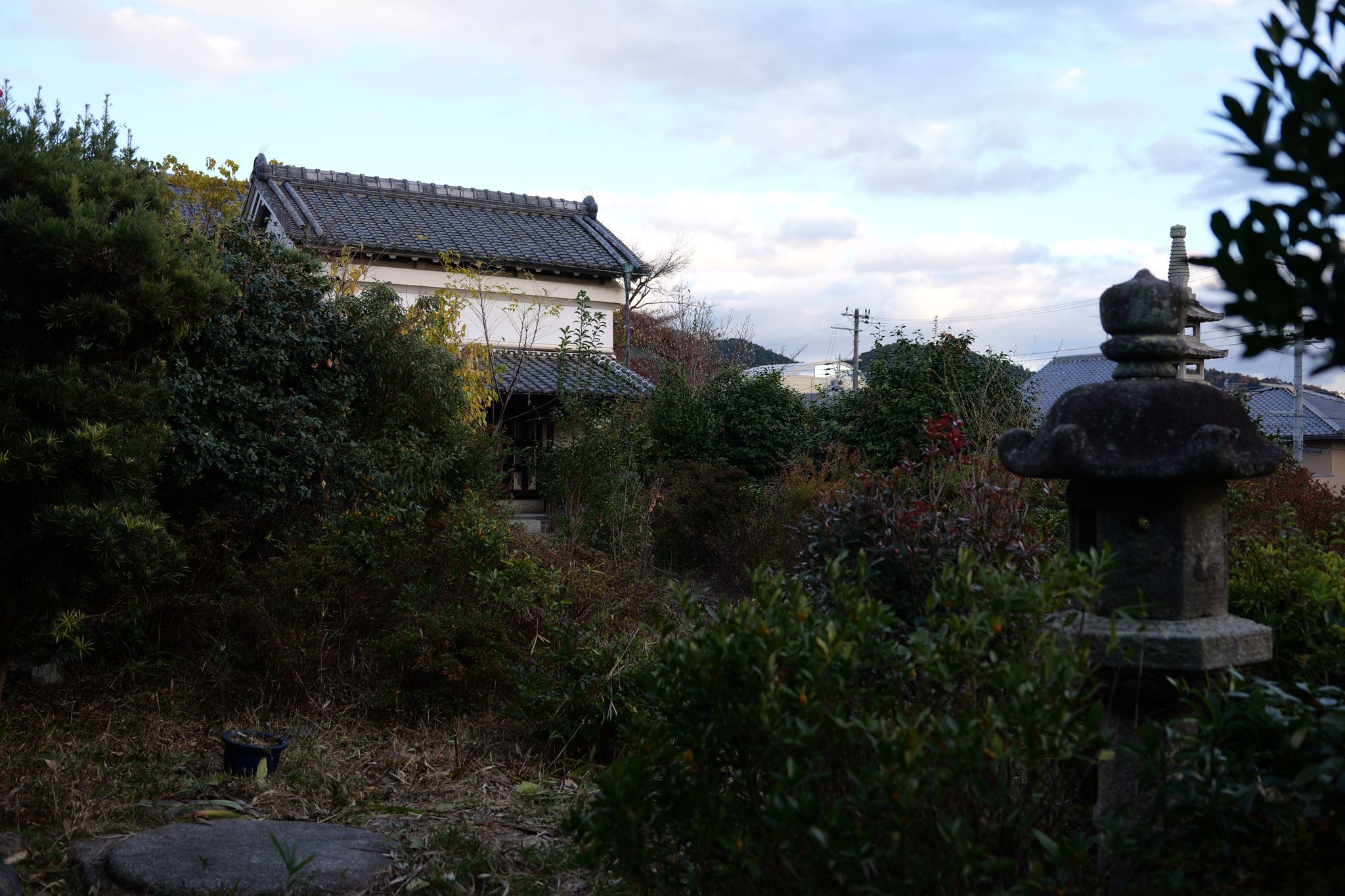 庭の奥に続く蔵へ、歩けるようになりました。