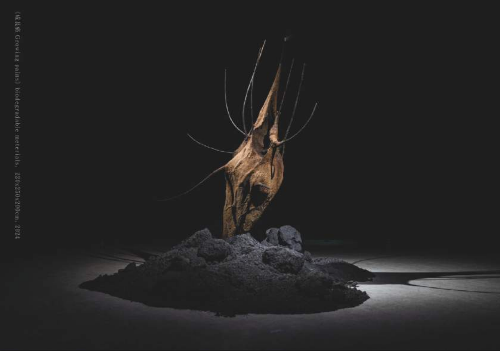 Selected Work