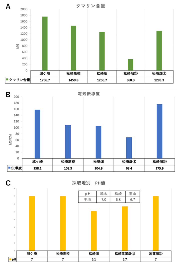 図２．オオシマザクラのクマリン含量を調べた各地点での土壌分析
Ａ．県内各地点で採取したオオシマザクラに含まれるクマリン含量。測定は2023年度。Ｂ．土壌の電気伝導度。測定は2024年度。塩化ナトリウムが多く含まれていれば、電気伝導度は高くなる。クマリン含量と正の相関が見られた。Ｃ．土壌の酸性度。測定は2024年度。pHが７であると中性、７未満であると酸性。クマリン含量との相関は見られなかった。