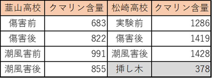 表１．2024年度のクマリン含量を調べた実験
傷害実験では、クマリン含量が増加した。潮風害実験では、雨天が続いた韮山高校では変化がわずかで、晴天が続いた松崎高校ではクマリン含量が増加した。挿し木のクマリン含量は少なかった。